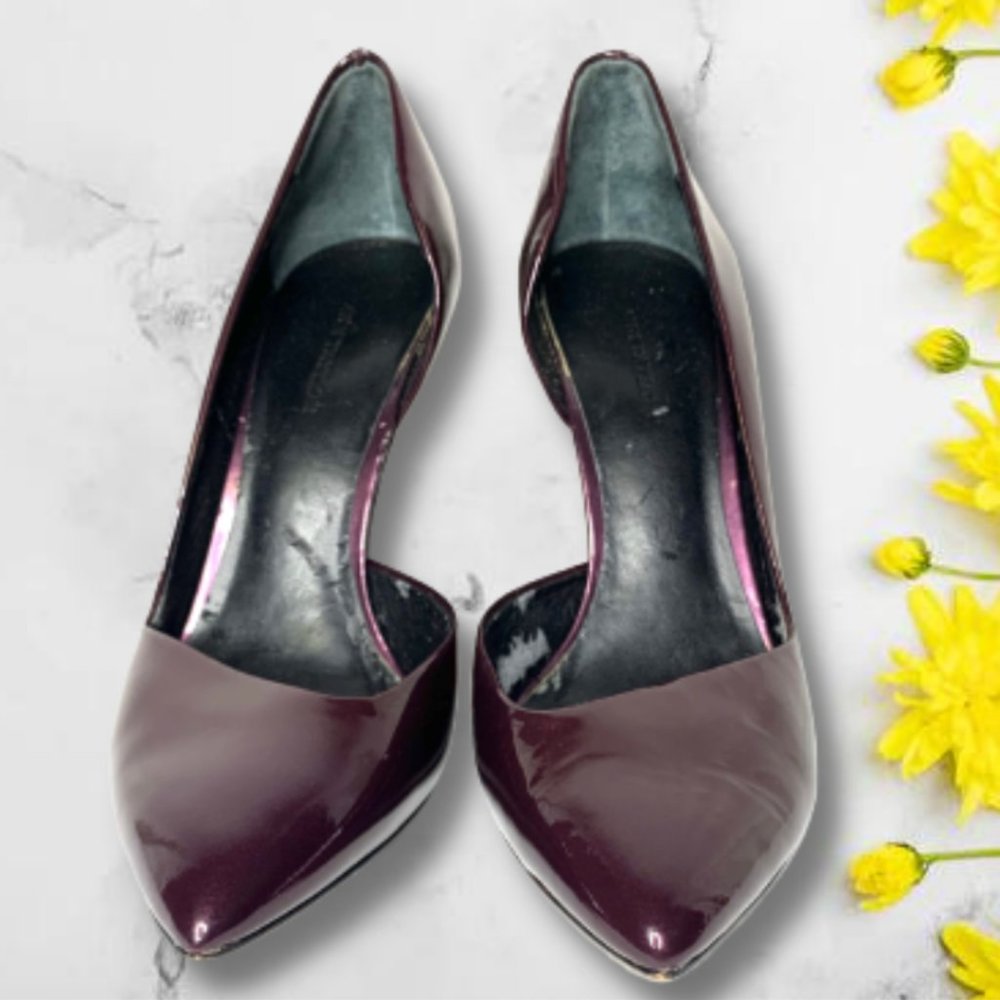 Wine Burgundy Pointed Toe Wine Ann Taylor Pumps